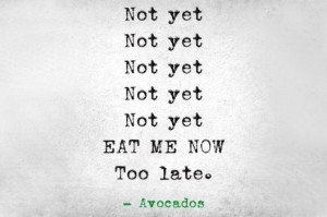 avocados wait